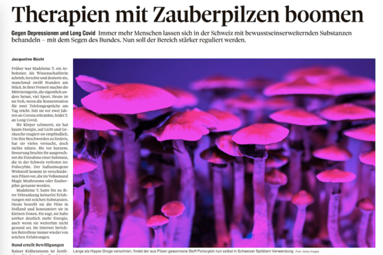 [Translate to English:] Tagesanzeiger