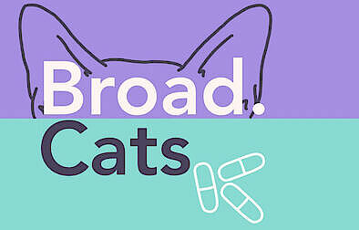 broad cats