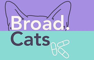 [Translate to English:] broad cats